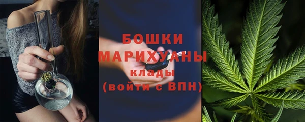 прущие грибы Зеленокумск