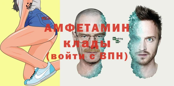прущие грибы Зеленокумск