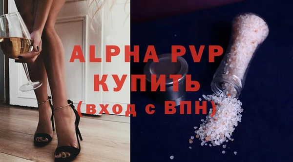прущие грибы Зеленокумск