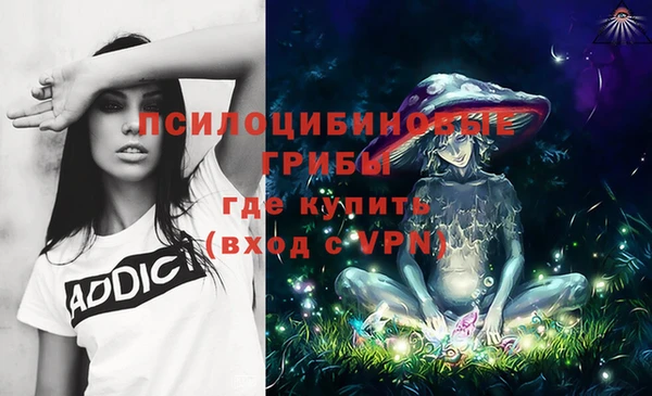хмурый Заводоуковск