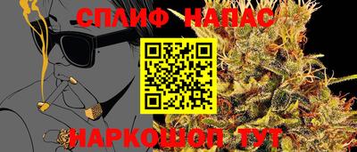 гидра Пенза