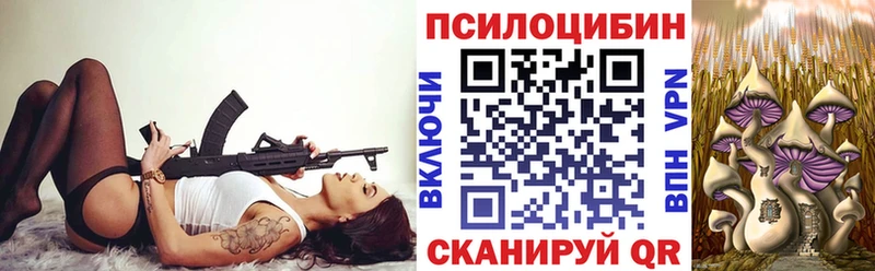 Галлюциногенные грибы Magic Shrooms  Фрязино 
